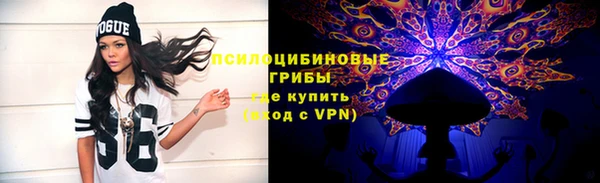 дмт Бородино