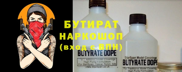 дмт Бородино