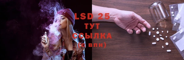 дмт Бородино