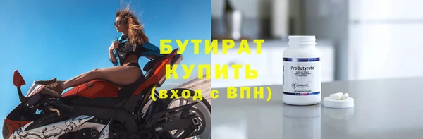 дмт Бородино