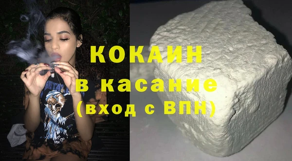 дмт Бородино