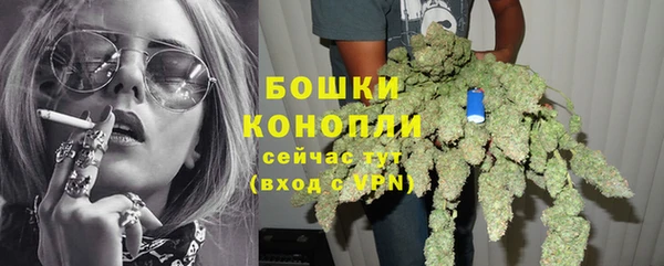 дмт Бородино