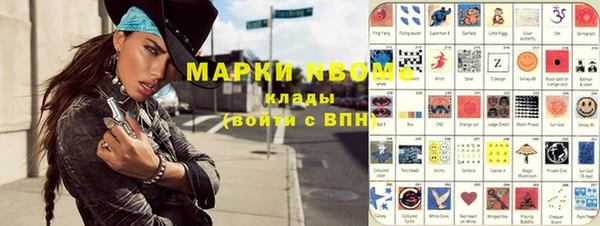 дмт Бородино