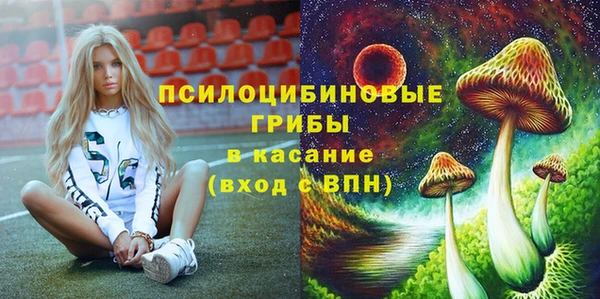 дмт Бородино