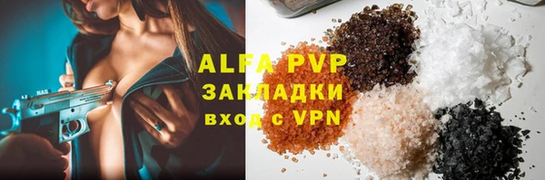 дмт Бородино